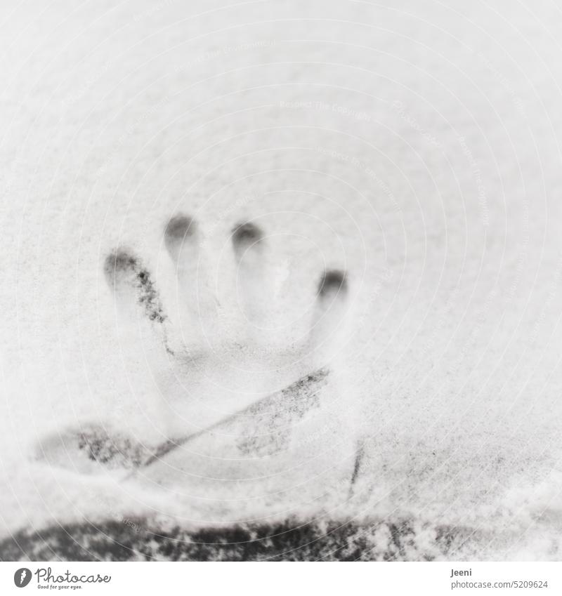 Handabdruck im Schnee Abdruck berühren Spuren Finger Kreativität kalt Strukturen & Formen Winter weiß Frost Silhouette rechte hand gefroren Handfläche