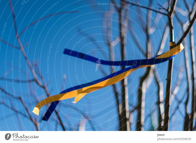 Blau-gelbe Bändchen im Wind Ukraine Krieg Frieden Weltfrieden Freiheit Hoffnung Symbole & Metaphern Solidarität blau Zeichen Band Himmel flattern Zusammenhalt