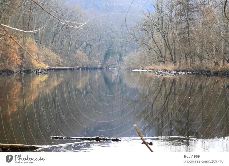 Idyllischer Fluss Enz bei Untermberg bei Ludwigsburg Unterriexingen Natur Bach Flusslauf Idylle idyllisch neblig spiegeln Spiegelung Ruhe Landschaftsidyll