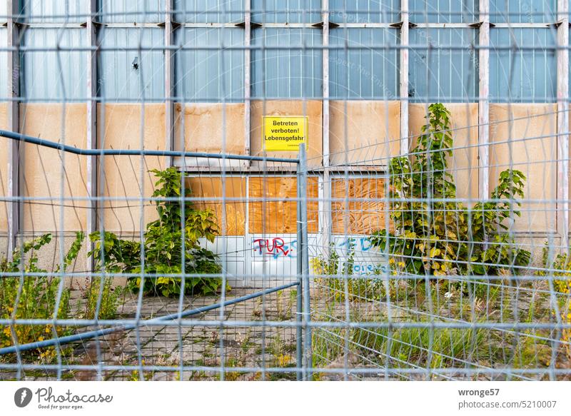 Gesichertes Biotop Bauzaun Sicherheit Baustelle Zaun Absperrung Verbote Metallzaun Betreten verboten Lebensgefahr Mehrzweckhalle moderne Architektur Hyparschale