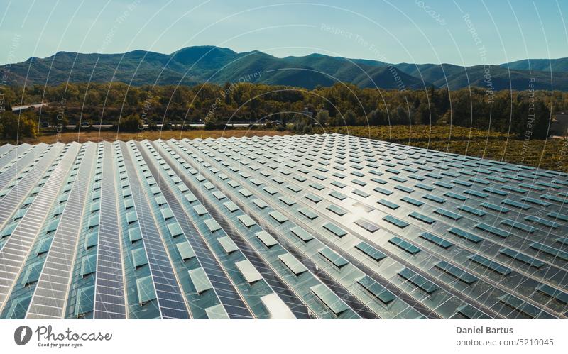 Gewächshaus für den Gemüseanbau mit montierten Fotovoltaikpaneelen Ackerbau alternativ Architektur Asien Hintergrund schön blau Gebäude Business Konstruktion