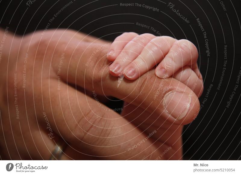 festhalten Finger Hand Nahaufnahme Baby Geborgenheit Vertrauen Glück Schutz Verantwortung Fürsorge Gefühle berühren klein Zuneigung Leben Säugling neugeboren