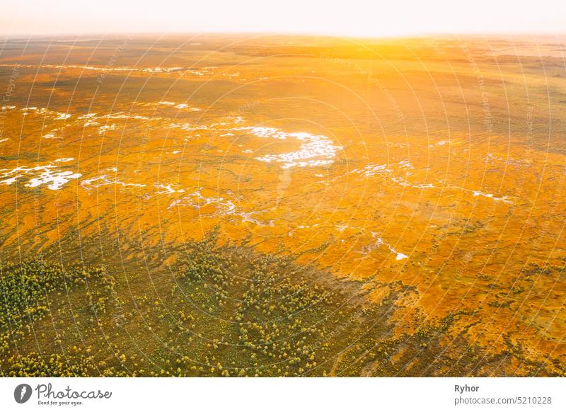 Bezirk Miory, Region Witebsk, Belarus. Der Yelnya-Sumpf. Upland und Übergangsmoore mit zahlreichen Seen. Erhöhte Luftaufnahme von Yelnya Naturreservat Landschaft. Berühmtes Naturdenkmal