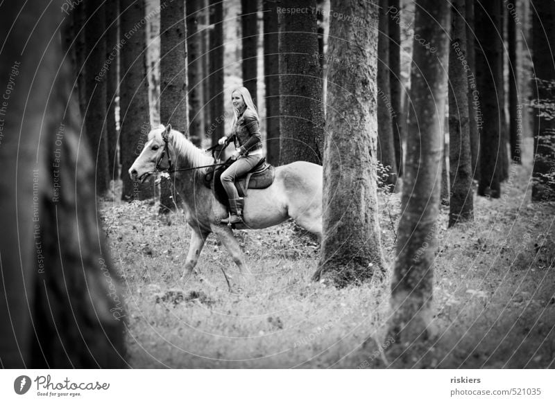 streifzüge durch den wald feminin Junge Frau Jugendliche Erwachsene Leben 1 Mensch 18-30 Jahre Umwelt Natur Herbst Schönes Wetter Wald Tier Haustier Pferd