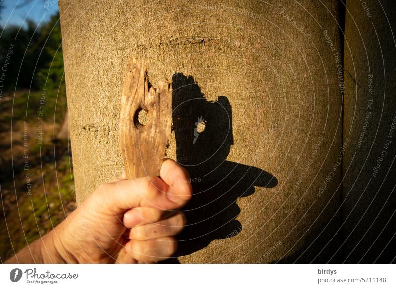 Schattenspiele gesicht Sonnenlicht Gnom Baum Hand Schattenwurf Wesen Phantasie Kreativität Profil Phantasiewesen Wald Astloch