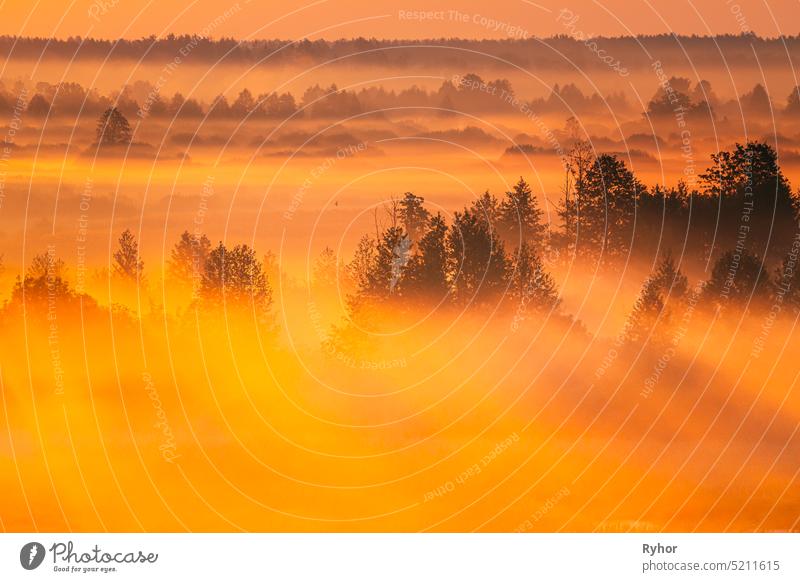 Amazing Sonnenaufgang Licht über neblige Landschaft. Scenic View Of Foggy Morning In Misty Forest Park Woods. Sommer Natur Osteuropas. Sonnenuntergang Dramatische Sonnenstrahl Licht Sonnenstrahl