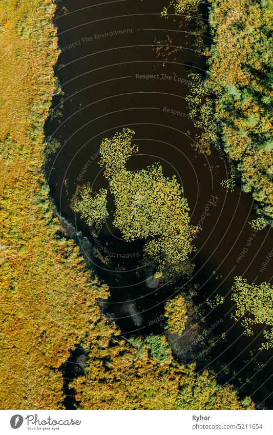 Aerial View Of Green Grass Landschaft. Top View of River Coast From High Attitude In Autumn Day. Sumpf Moor. Drone Ansicht. Ansicht aus der Vogelperspektive