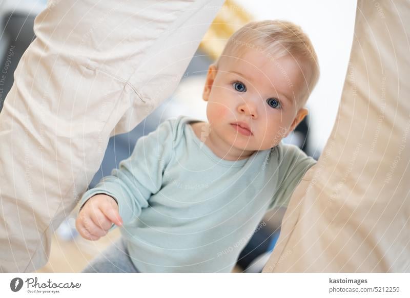 Porträt der liebenswerten neugierigen Säugling Baby Junge Kind die ersten Schritte halten, um Vater die Hose zu Hause. Süßes Baby Junge lernen zu gehen.