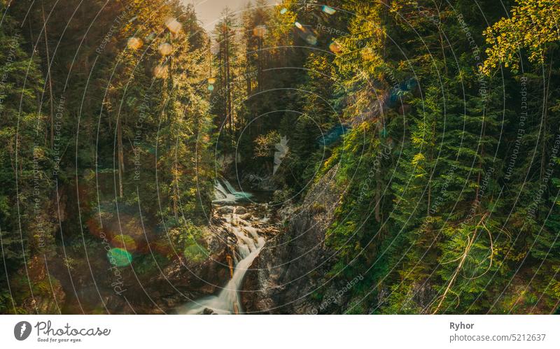 Tatra-Nationalpark, Polen. Wasserfall Wodogrzmoty Mickiewicza Im Sommer Berge Sonnenuntergang Landschaft. Sonnenlicht durch Bäume in der Tatra. Europäische Natur. UNESCO