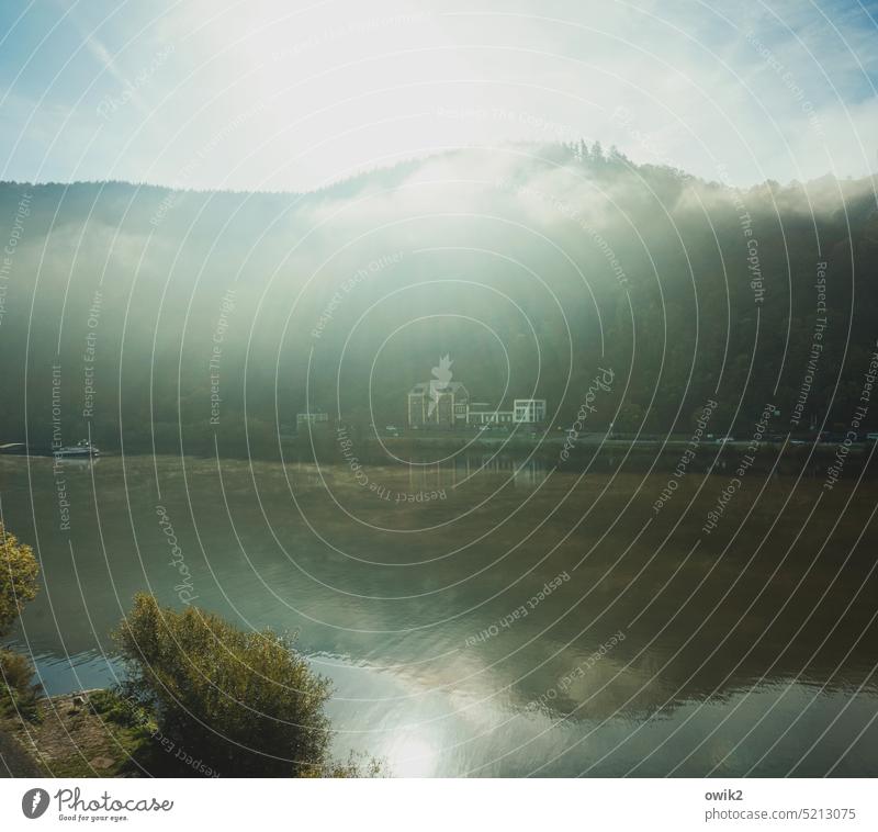Mittelmosel Traben-Trarbach Rheinland-Pfalz Mosel (Weinbaugebiet) Fluss Wasser Wasserspiegelung Wasseroberfläche Außenaufnahme windstill Natur