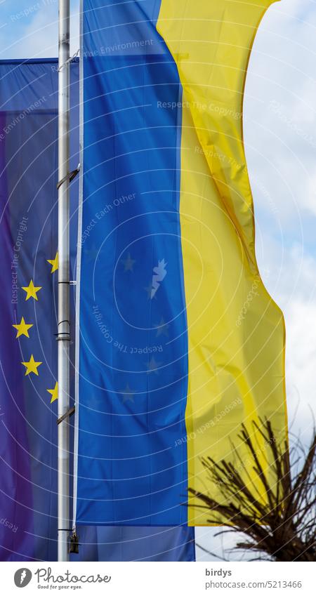 Ukraineflagge und EU-Flagge wehen nebeneinander im Wind Europäische Union Eu-Flagge Politik & Staat Europaflagge Europafahne europäisch Ukrainefahne