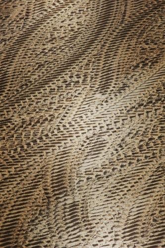Profilneurose Reifenspuren Reifenprofil Sand Textur Spuren Erde trocken Abdruck Fährte Reifenabdruck LKW-Spuren Profiltiefe Autoreifen Strukturen & Formen
