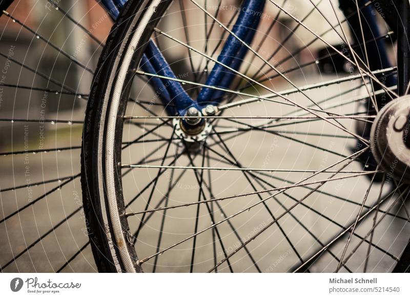Fahrradspeichen im Regen Fahrradfahren Fahrradrahmen Farbfoto bunt bunt gemischt Klima Klimaschutz Klimawandel CO2-Ausstoß Luftverschmutzung Emission Umwelt
