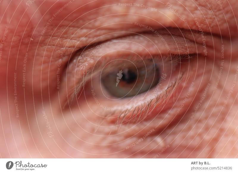 Auge Detail vom Gesicht auge sehen visuell krankheit gesundheit wimpern lid schlupflid falten alter mensch senior lebensjahre detailaufnahme