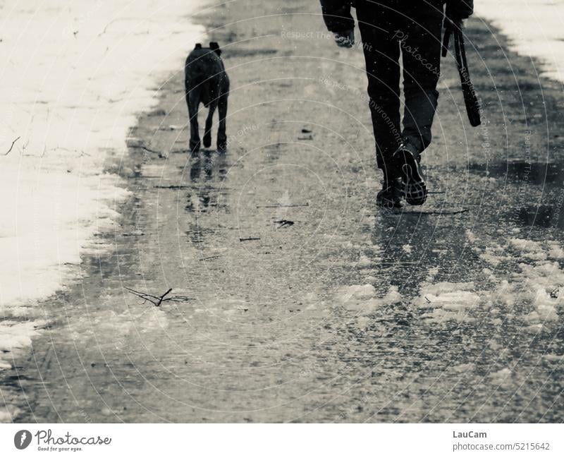 Bei Wind und Wetter ein Team Hunde Herrchen Haustier Spaziergang bei Wind und Wetter Zusammensein Tierliebe Freundschaft Zusammenhalt Hundeliebe zusammen