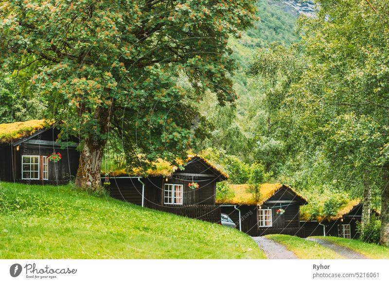 Traditionelle norwegische alte Holzhäuser mit wachsendem Gras auf dem Dach. Hütten in Norwegen im Freien Schönheit Dorf wachsendes Gras reisen Haus malerisch