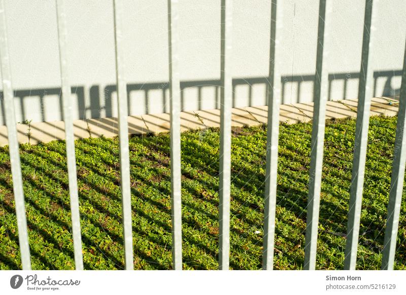 Gitterstäbe werfen ihren Schatten auf Grasfläche Zaun Gitterstruktur Rasen Barriere Absperrung Sicherheit Naturschutz Strukturen & Formen Metallzaun abstrakt