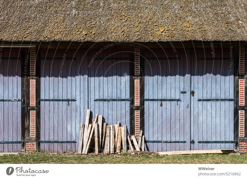 Vor einer blauen Scheune mit Reetdach stehen Holzlatten Latten Material angelehnt Fassade Gebäude Bauwerk historisch traditionell Sonne Sonnenlicht sonnig warm