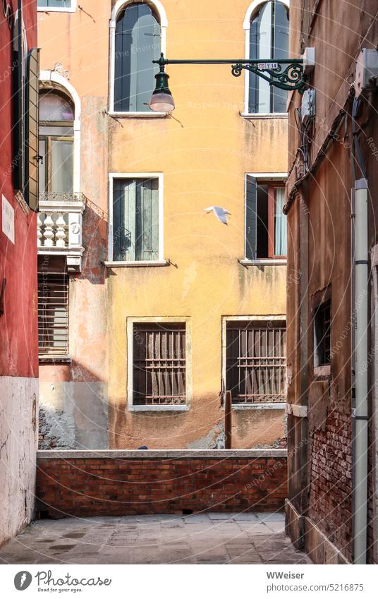 Eine typisch venezianische Sackgasse: Da vorn ist schon wieder ein kleiner Kanal Venedig bunt Straße Gasse Haus Fassade warm spazieren Mauer gegenüber Möwe Tag