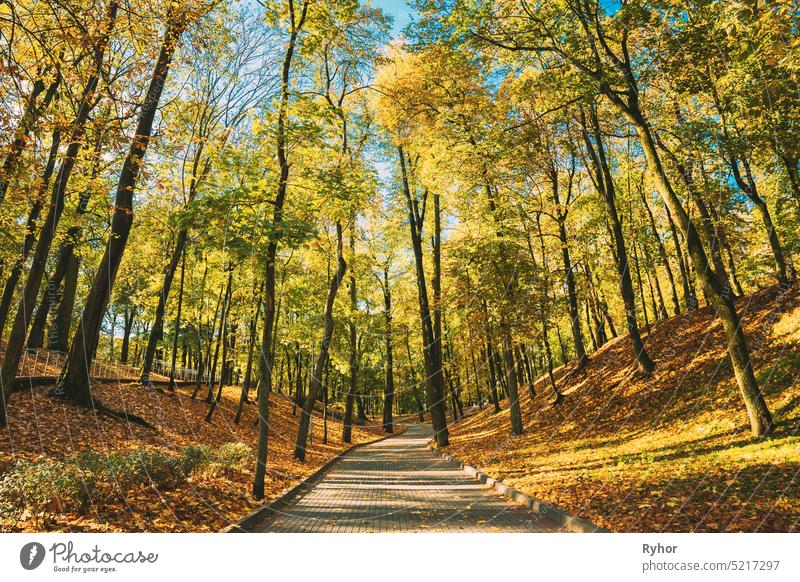 Stadtpark in der Herbstsaison Europa weißrussland Gomel Homiel Wahrzeichen Landschaft Tourismus reisen Paskevich Paskeviches Republik Rumyantsevs Park
