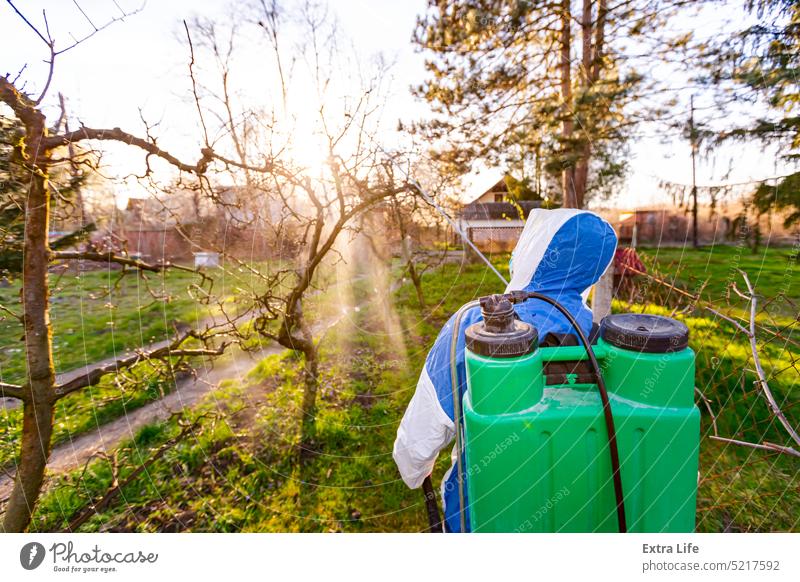 Rückenansicht eines Gärtners im Schutzanzug, der Obstbäume mit einer langen Spritze im Obstgarten besprüht Aerosol landwirtschaftlich Ackerbau