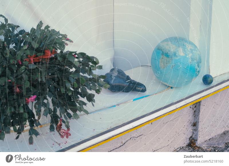Stillleben aus Weihnachtskaktus, Fahrradsattel und Globus in einem Schaufenster vor weißem Vorhang Sattel Schlumbergera Weltkugel verlassen aufgegeben