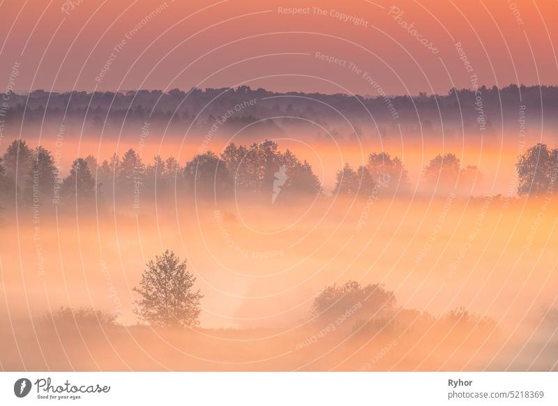 Amazing Sonnenaufgang Licht über neblige Landschaft. Scenic View Of Foggy Morning In Misty Forest Park Woods. Sommer Natur Osteuropas. Sonnenuntergang Dramatische Sonnenstrahl Licht Sonnenstrahl