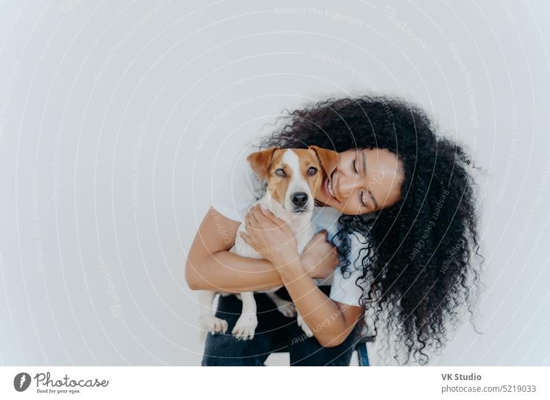 Bild von verspielter hübscher Frau mit Afrofrisur, lächelt fröhlich, hält Haustier, trägt Hund zum Tierarzt, isoliert über weißem Hintergrund. Fröhliche Dame streichelt Jack Russell Terrier zu Hause.