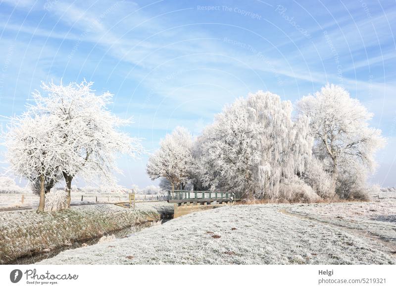 für willma | mit Raureif bedeckte Bäume und Wiesen an einem kalten Wintermorgen Kälte Frost Landschaft Natur Idylle Wintertag Bifurkation Baum Fluss Hase Else