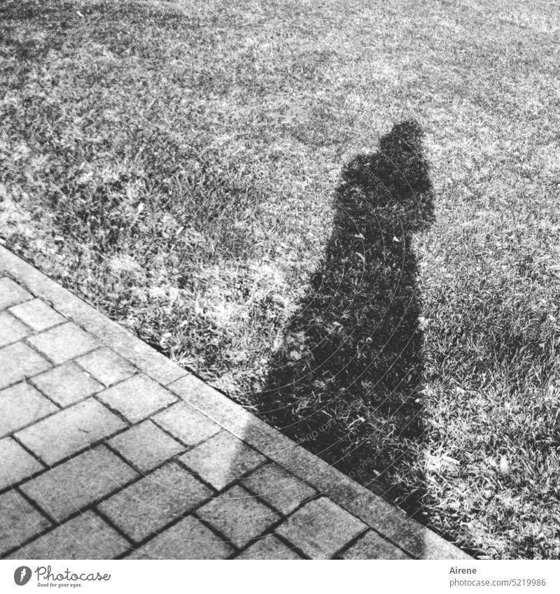 Bildstörung | Fotografenschatten Schatten Schattenwurf Frau Asphalt Pflaster Wiese Rasen schräg diagonal Terrasse Kante Silhouette Kontrast Pflastersteine