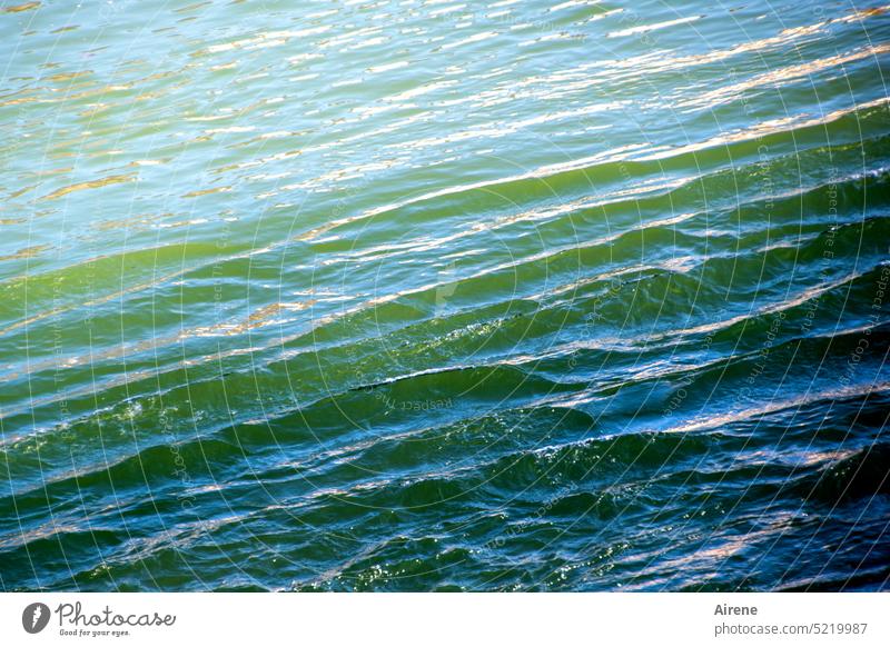 Längswellen Wellen Wasser blau fließen sanft Bewegung Wasseroberfläche Urelemente Strukturen & Formen Wellenlinie Wellenform gewellt Reinheit Erfrischung Fluss