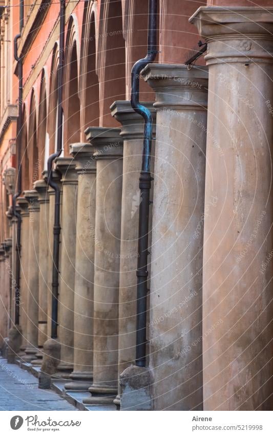 colonne bolognese Säulenreihe Architektur Fassade Perspektive rot Kapitell Bauwerk historisch Sehenswürdigkeit alt Reihe Straße Altstadt Bologna Städtereise