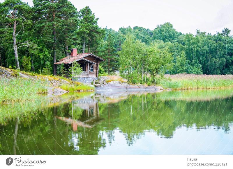Wald und Wasser in Finnland Natur Fjord Küstenlinie Skandinavien Cottage chale