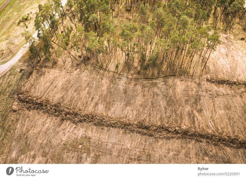 Luftaufnahme der Abholzung für das Gebiet des zukünftigen Feldes Antenne Ackerbau Vogelperspektive Textfreiraum Landschaft kultiviert Entwaldung Abholzungszone