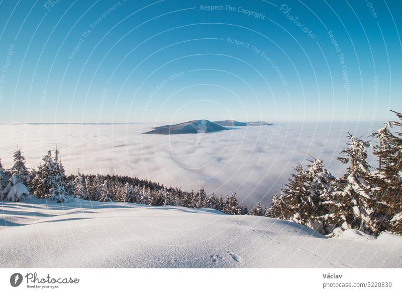 Die Berghänge der Beskiden in der Tschechischen Republik versinken in einer dicken weißen Inversion, die von den Städten aufsteigt. Wintermärchenhafte Landschaft in Mitteleuropa