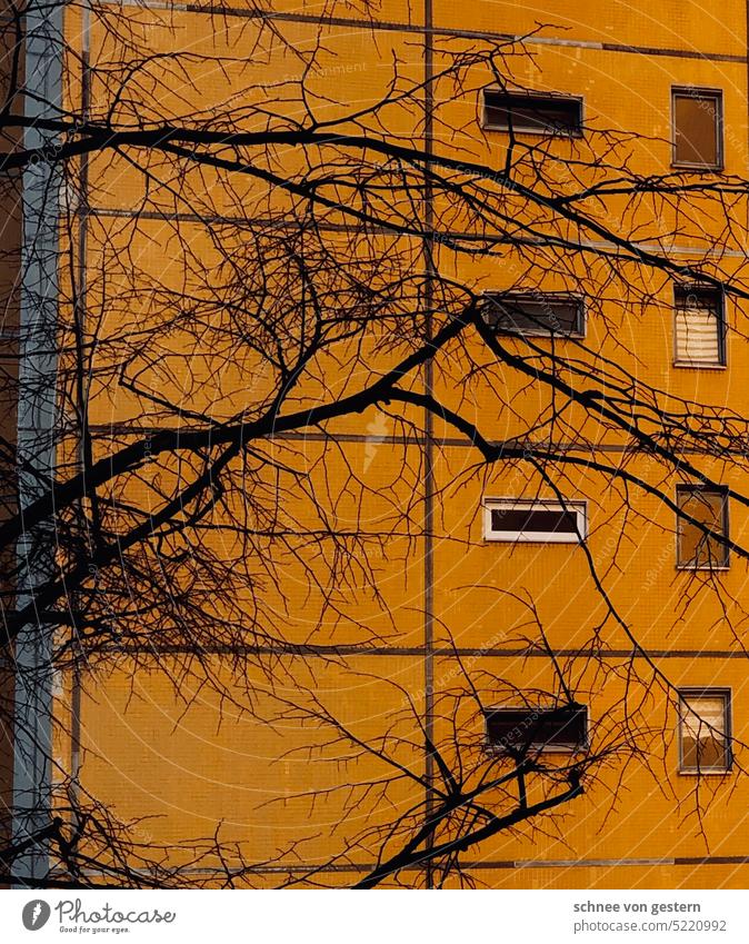 Noch mehr Wohnungen für Holländer Hochhaus Architektur Stadt Gebäude Himmel Skyline Froschperspektive Bauwerk Farbfoto Wolken Fenster Fassade Tag Menschenleer