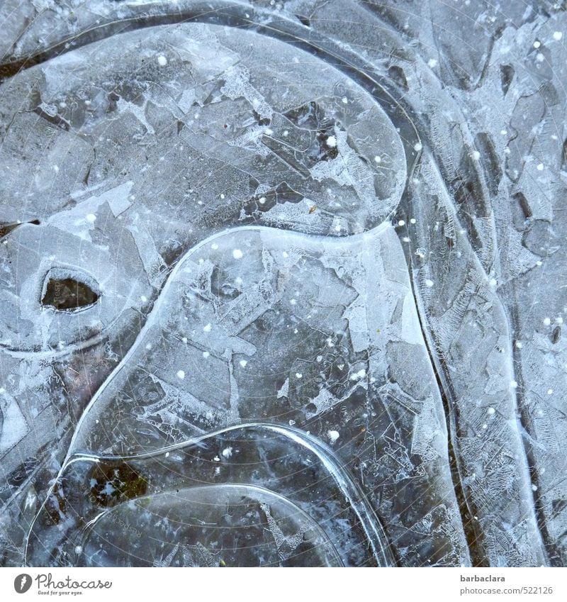 Eiskunst Erde Winter Frost Wasser Zeichen Linie Strukturen & Formen außergewöhnlich fest kalt wild blau ästhetisch bizarr Inspiration Kreativität Natur Stil