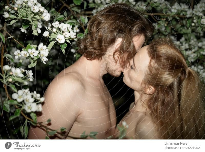 Ein wildes Paar ist verliebt. Sie küssen sich unter der weißen Blüte. Romantik liegt in der Luft. Nackte schöne Menschen, die eine heiße Frühlingsnacht genießen.
