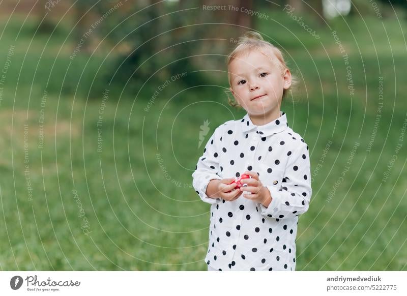 Nettes kleines Mädchen auf dem Gras Hintergrund im Park im Sommer Tag. glücklichen Sommerurlaub. selektiven Fokus Kind Glück niedlich im Freien schön wenig