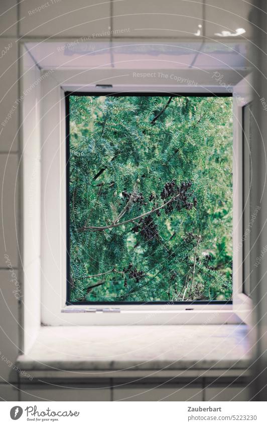 Geöffnetes quadratisches Fenster zeigt Blick ins Grüne grün geöffnet Bad Fliesen Kacheln weiß draußen drinnen Ausblick Freiheit lüften frisch Frischluft offen