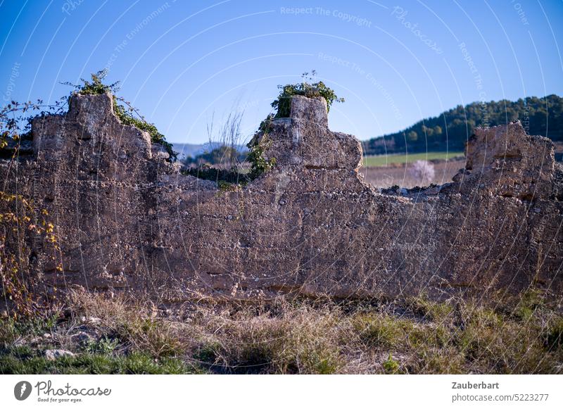 Alte Steinmauer in Katalonien im Seitenlicht, dahinter Landschaft Mauer Formen alt Feld typisch landestypisch Urlaub reisen