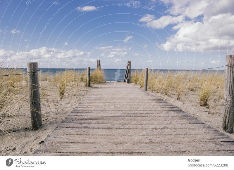 Weg aus Holzbohlen auf einer Sanddüne mit Blick auf die Ostsee Wege & Pfade Düne Küste Natur Strand Landschaft Meer Himmel Außenaufnahme Farbfoto