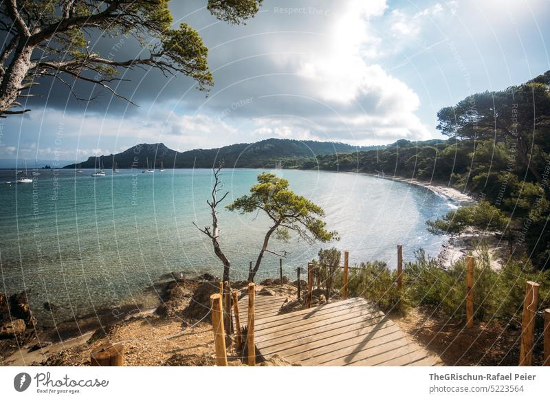 Steg und Bäume vor Strand mit Boote Meer Porquerolles Frankreich Insel Ferien & Urlaub & Reisen Wasser Erholung Himmel Küste Sommer Außenaufnahme baden beliebt