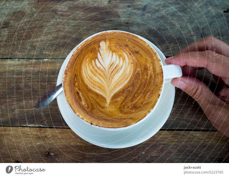 Lecker Latte Art Cappuccino Kaffee Kaffeetrinken Kaffeetasse Getränk lecker Heißgetränk Kaffeepause Tasse Farn halten Hand pinzettengriff Holzmaserung