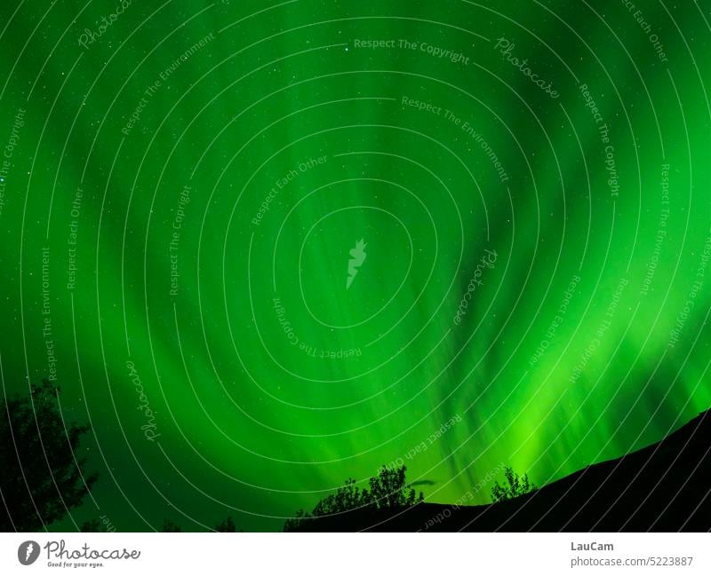 Polarlichter - der Nachthimmel leuchtet grün aurora borealis Arktis Himmel Sterne Berg Bäume leuchten strahlen Grüner Himmel Nordlicht Aurora Island Norden