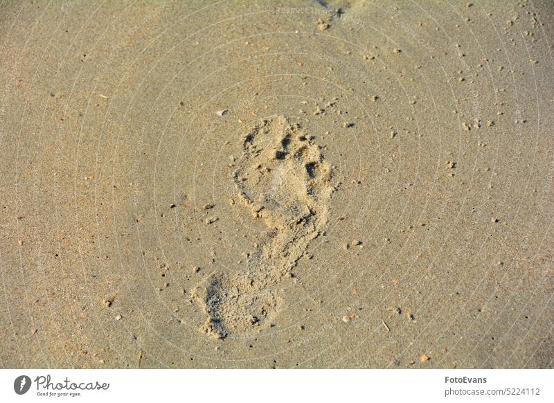 Fußabdruck im Sand Wanderung Textfreiraum Sandstrand Monochrom Menschen Barfuß menschlich Hintergrund Fußspur Spaziergang