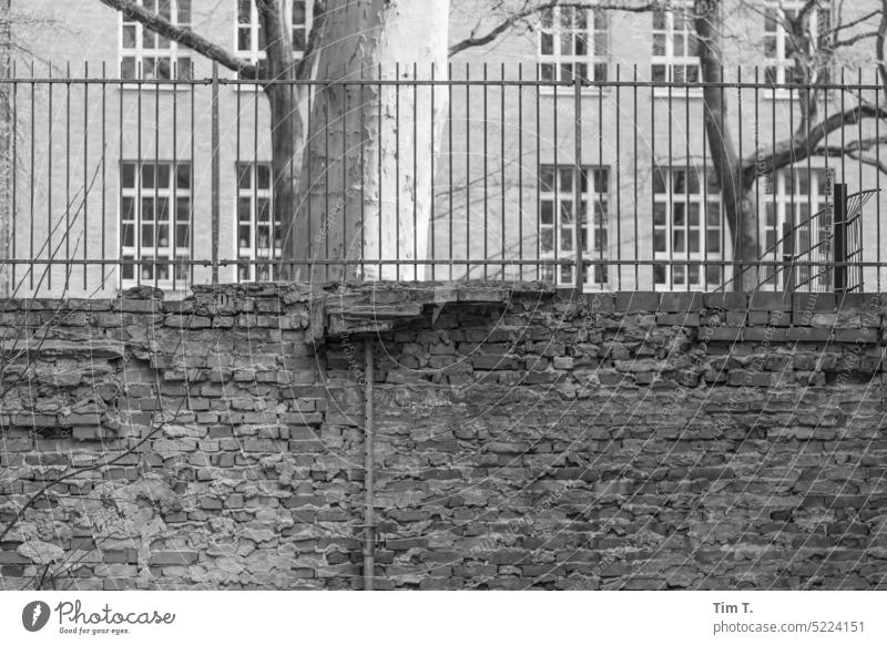 Hinterhofmauer Berlin Prenzlauer Berg s/w Mauer Zaun Stadtzentrum Schwarzweißfoto Hauptstadt Tag Altstadt Menschenleer Hof Außenaufnahme alt Innenhof bnw