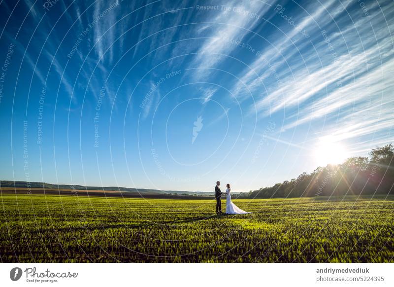 eleganter Bräutigam und schicke brünette Braut auf einem Hintergrund von Natur und blauem Himmel. Blick aus der Ferne Glück stylisch striegeln zwei sonnig Frau