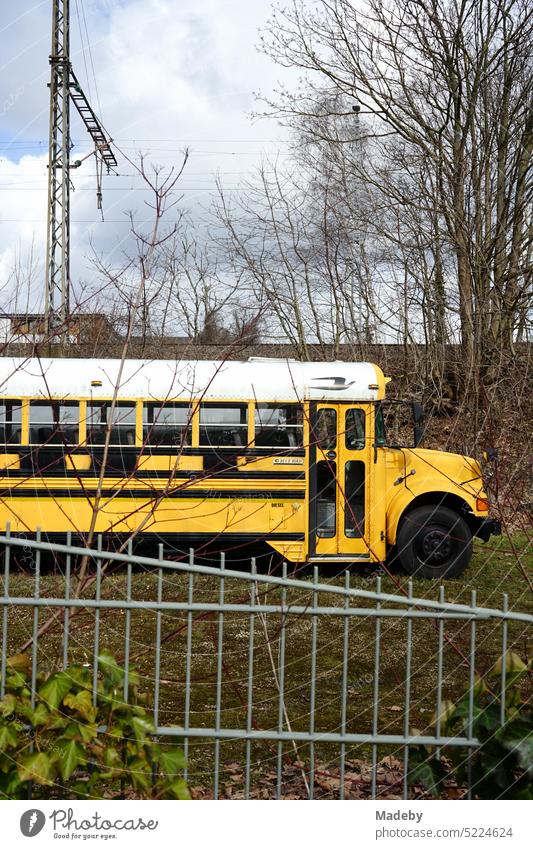 Typischer amerikanischer Schulbus in Gelb und Weiß bei Sonnenschein hinter einem Zaun im Gewerbegebiet in Detmold am Teutoburger Wald im Lipperland in Ostwestfalen-Lippe