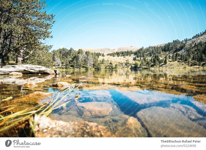 Steine im Wasser am See Alpen Andorra wandern entdecken Berge u. Gebirge Hügel Landschaft Natur Farbfoto Sommer Menschenleer Tourismus Schönes Wetter Holz